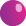 Banner Animation 5