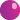 Banner Animation 7